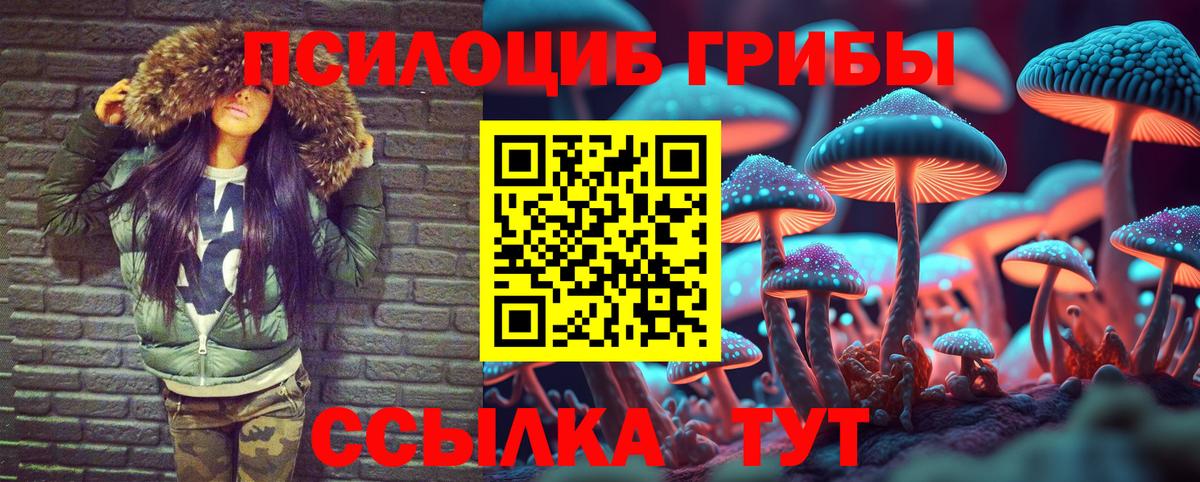 Белгород  Псилоцибиновые грибы мицелий  Вход с VPN 