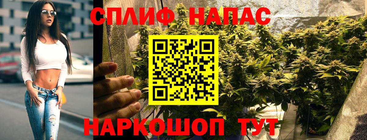 Бошки марихуана THC 21%  Конопля SATIVA & INDICA  Шишки марихуана THC 21%  Вход с VPN  Белгород 